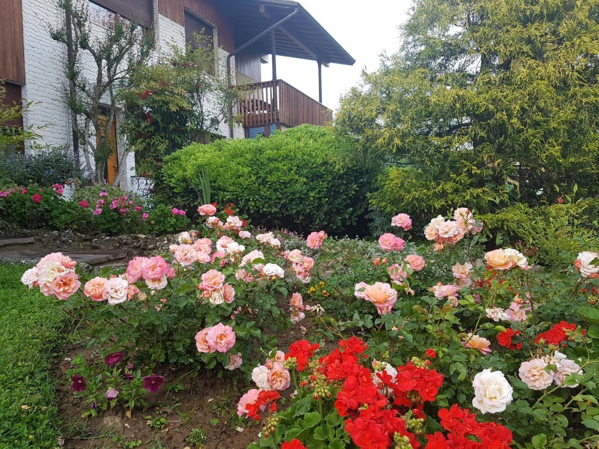 B&B Fontanella Curno Экстерьер фото